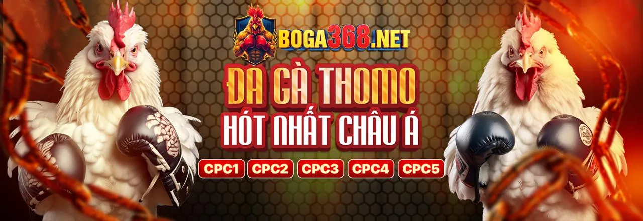 Hình ảnh chính về chiến lược cá cược thể thao 123hero