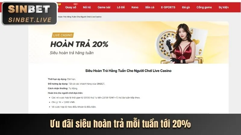 Người chơi tham gia cá cược trực tiếp trên 123hero